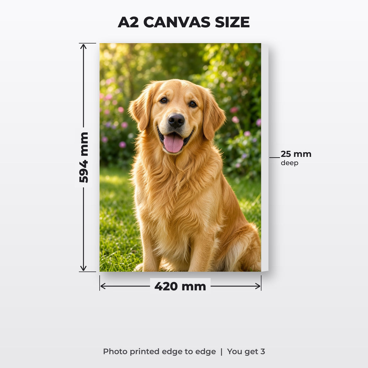 A2 canvas size: 420 mm x 594 mm, 25 mm deep