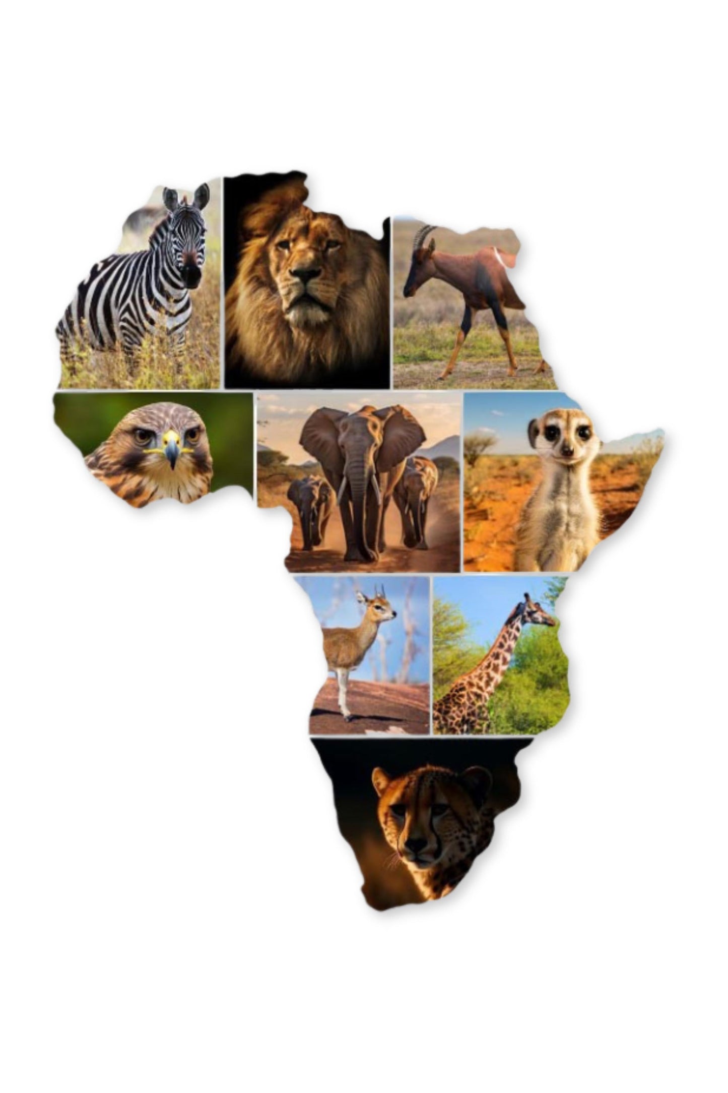 African Map Photo Collage on ready-to-hang Canvas (21 Photos)