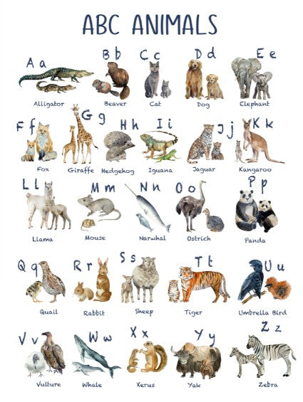 Unisex : Set of 1 - Watercolor ABC Animals