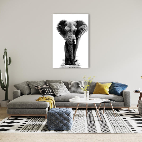 Elephant Print: 18
