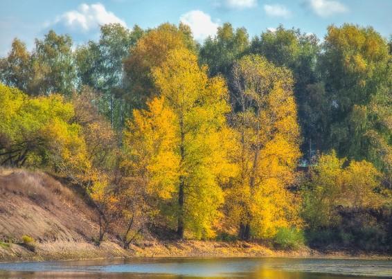 Autumn trees on the riverside Canvas & More