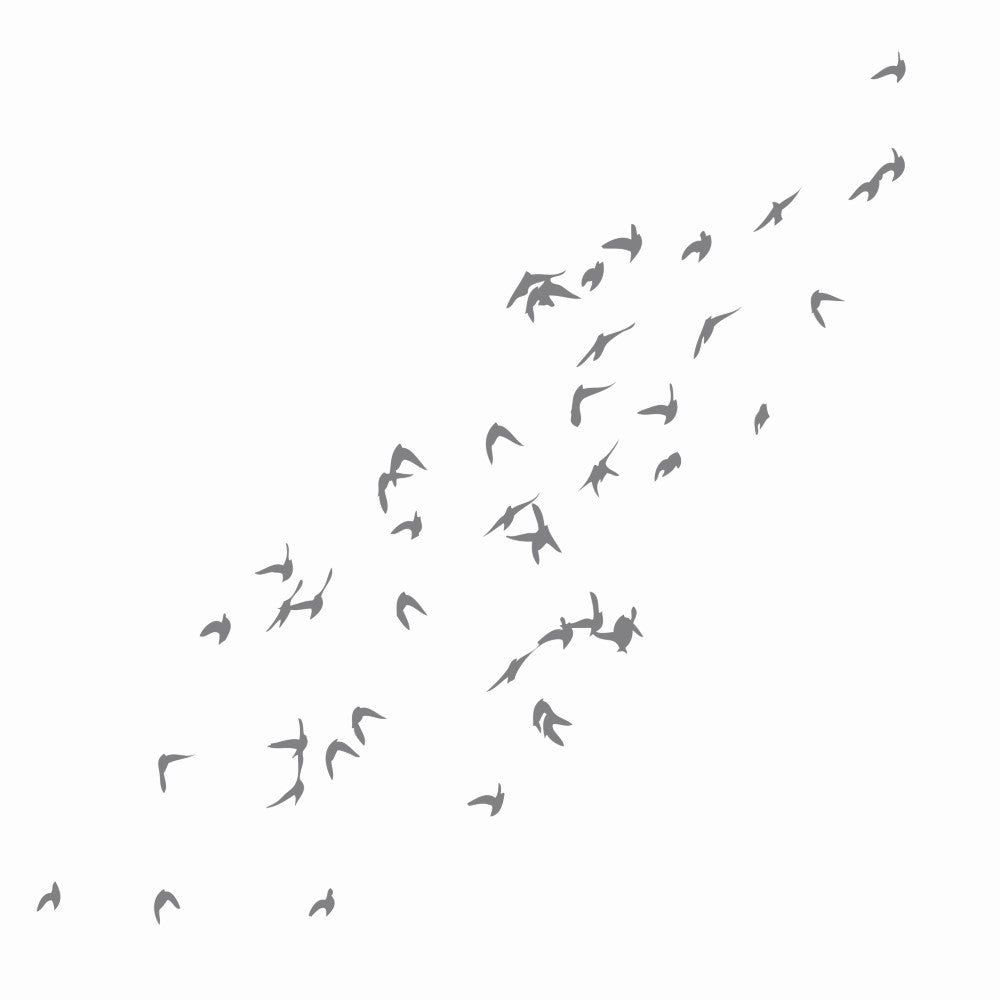 Frosted glass stickers (Anti Collision) - Birds