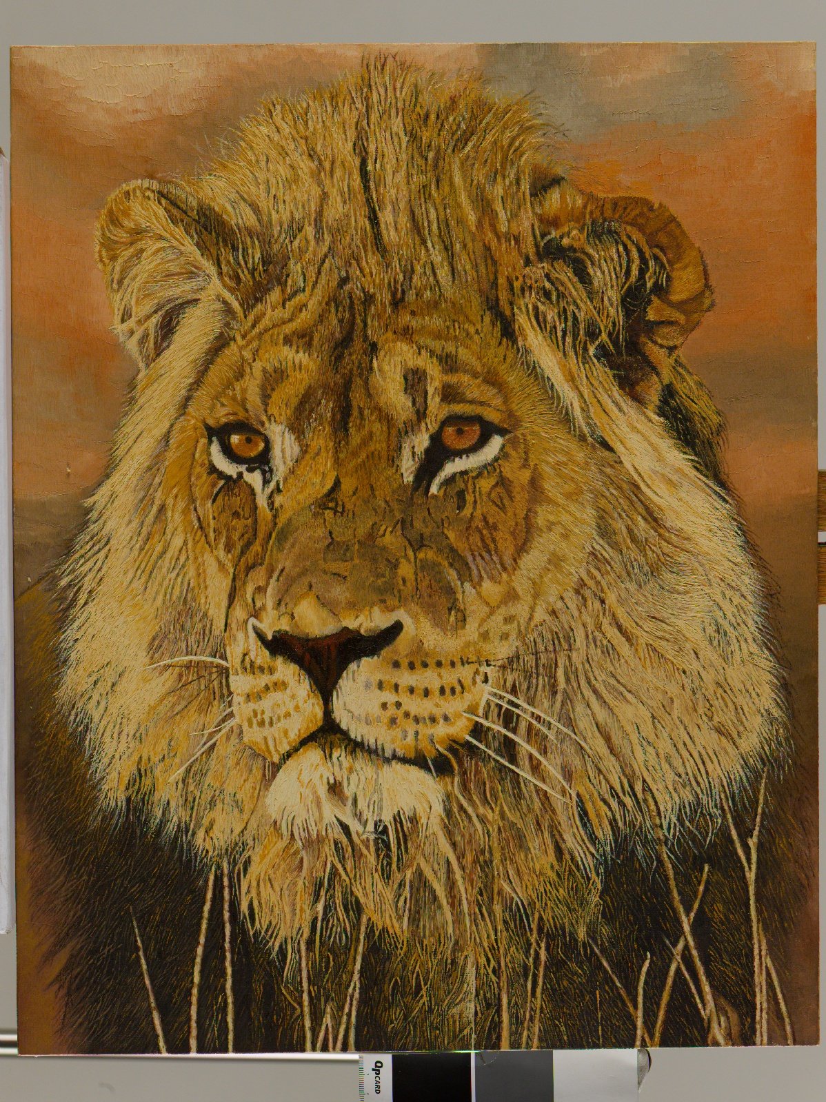 Male Lion Oil Painting Oil Painting Clive