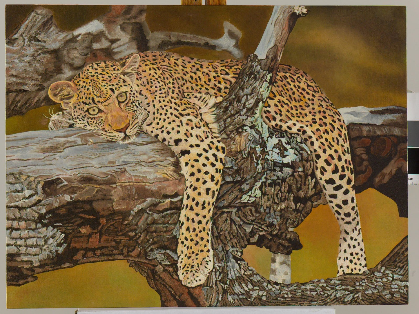 Leopard Sleeping in a Tree Oil Painting Oil Painting Clive
