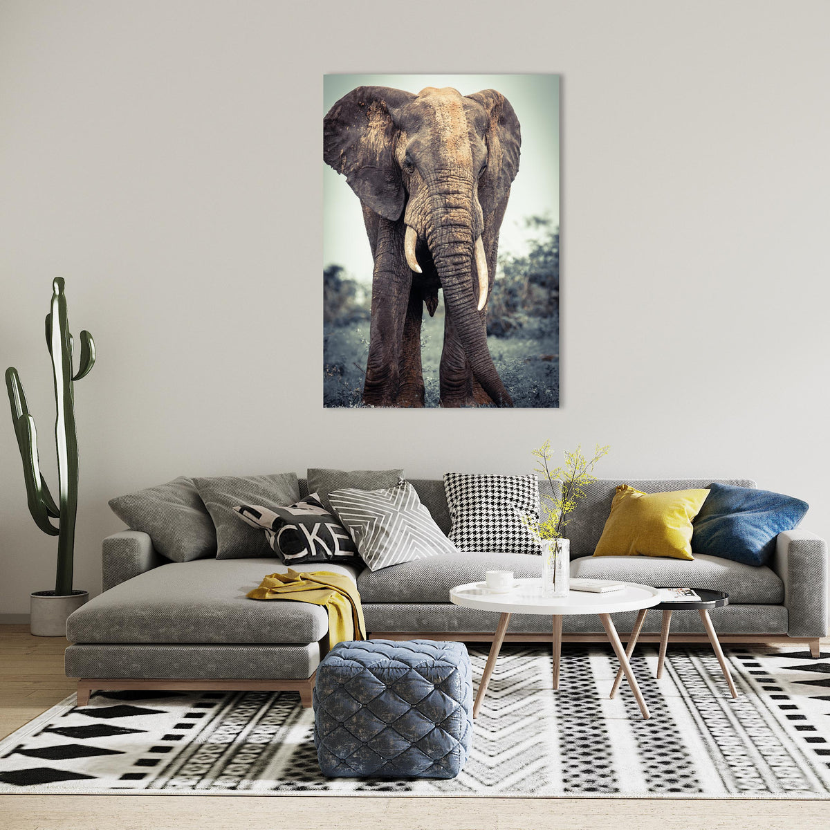 Elephant Print Background for Floating Wall Box