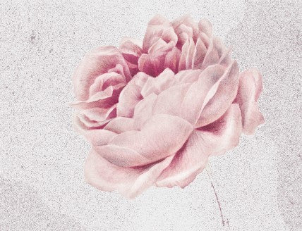 Floral Modern Minimalist (1)