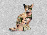 Cat Collage Canvas & More 