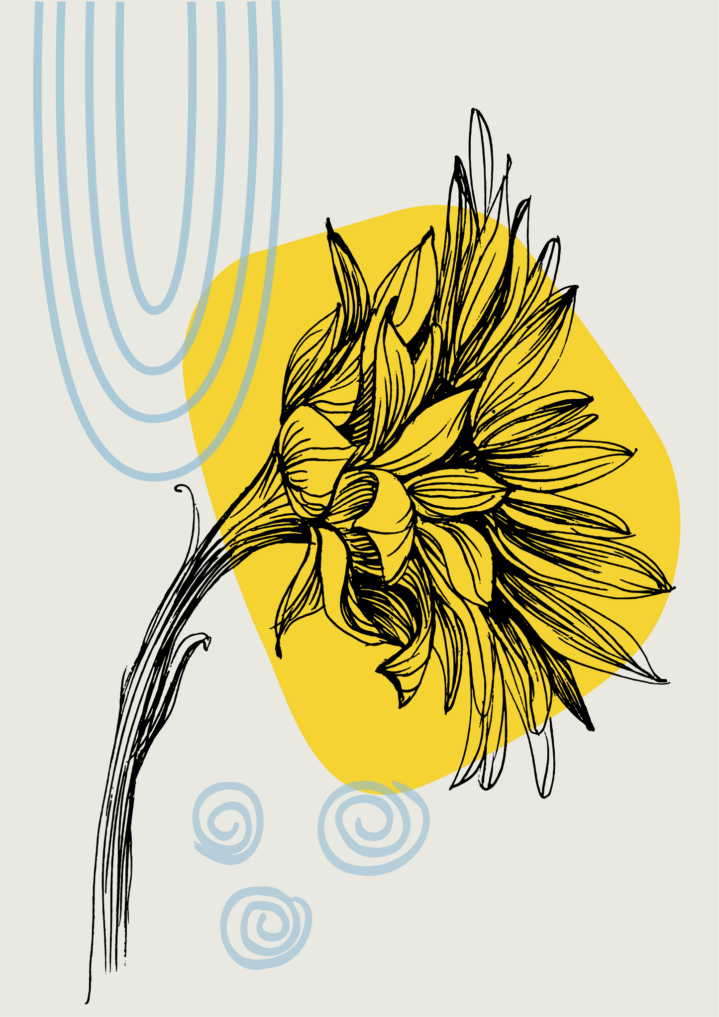 Sunflowers Canvas & More