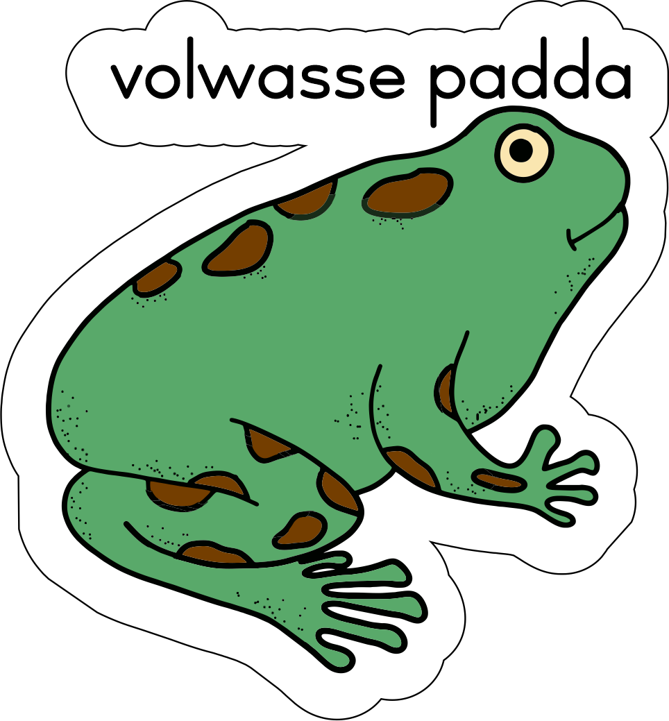 Lewensiklus van die padda Fridge Magnets - (12 PER PACK)