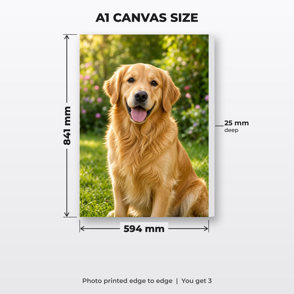 A1 canvas size: 594 mm x 841 mm, 25 mm deep