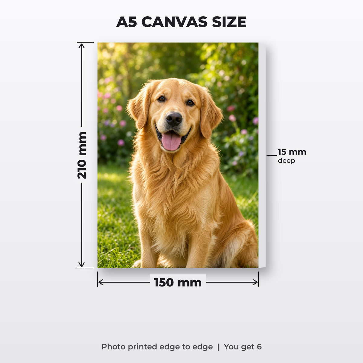 A5 canvas size: 150 mm x 210 mm, 15 mm deep