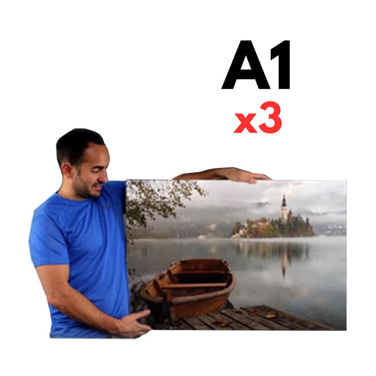 Buy one LARGE A1 Canvas, Get two FREE! (Total 3 x A1)