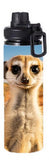 Wildlife - Suricate Design on Tumbler, Can, Flask, or Water bottle