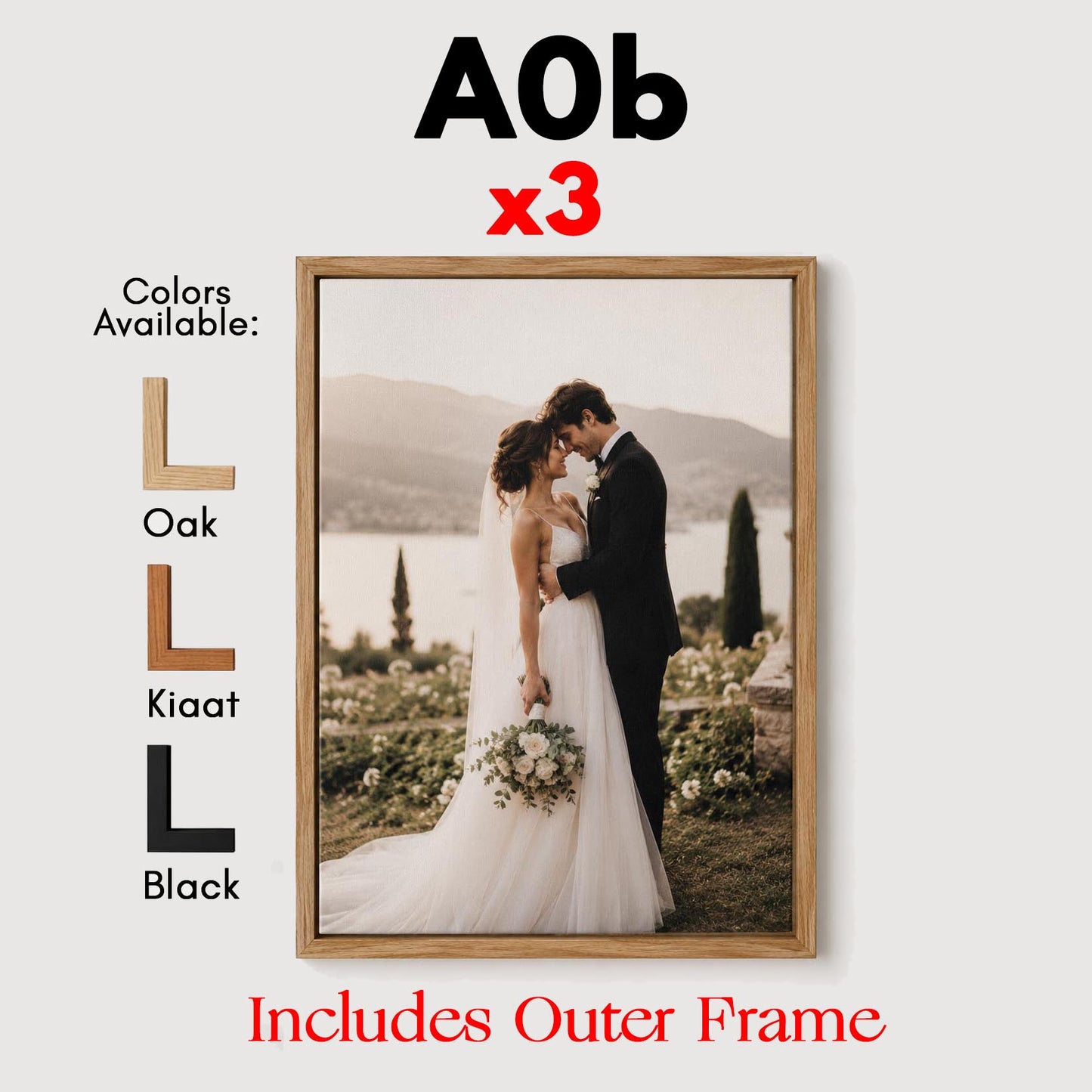 Set of 3 Very Large A0b Canvases with Premium Floating Outer Frames