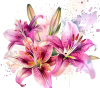 Flowers - Stargazer Lily Spring Flower Design on Tumbler, Can, Flask, or Water bottle