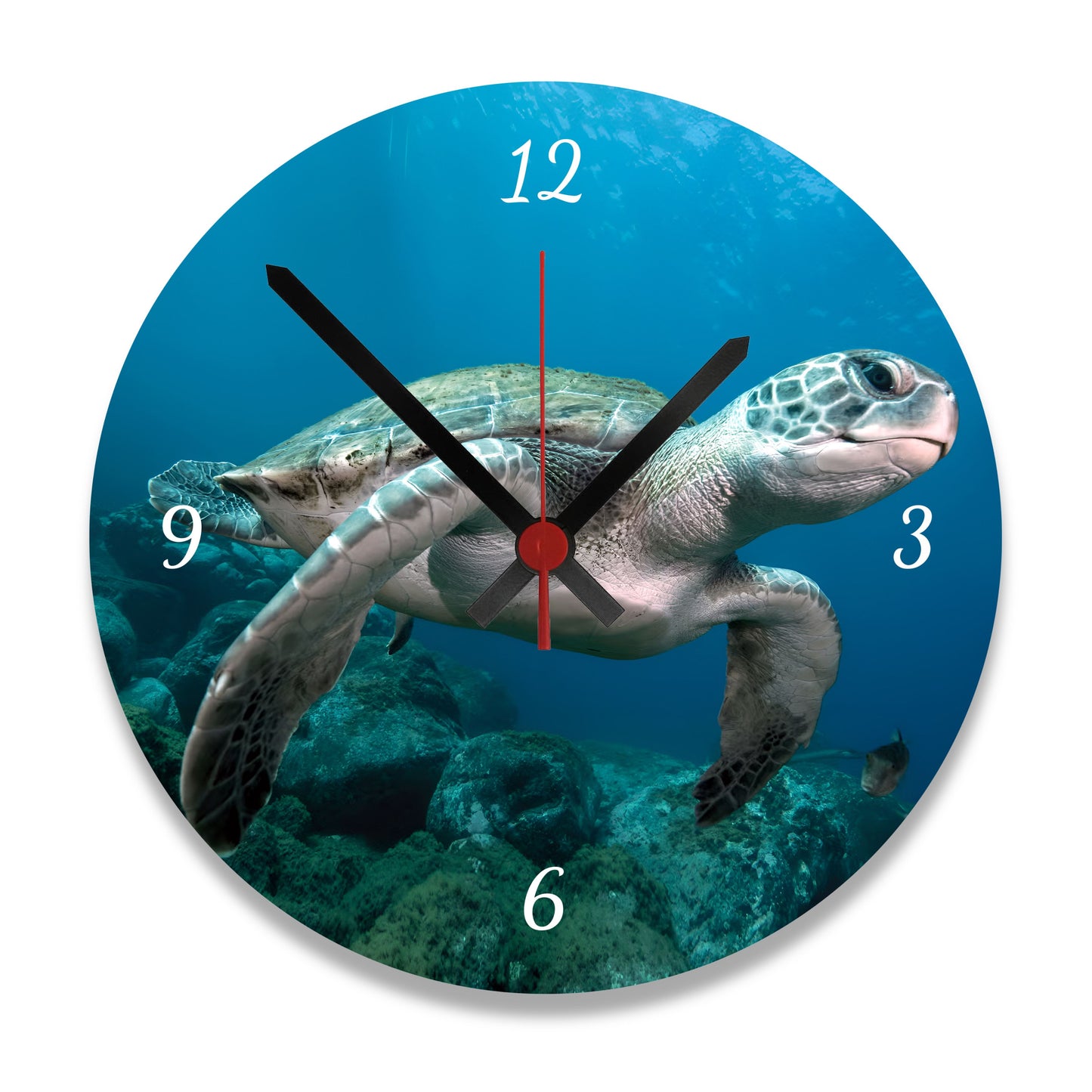 Personalized Photo Wall Clock – Turtle | Ready to Hang