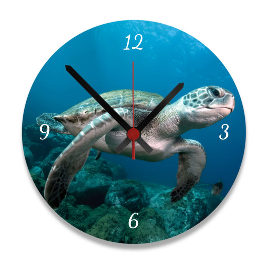 Personalized Photo Wall Clock – Turtle | Ready to Hang