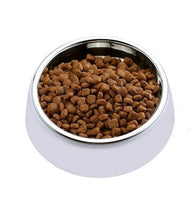 Personalised Pet Dog Bowl with Stainless Steel inner (L)