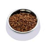 Personalised Pet Dog Bowl with Stainless Steel inner (L)