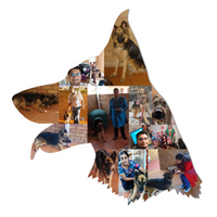 Dog Photo Fridge Magnets - Custom Shape (PACK OF 2)