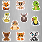 Little Animal Pack (1) Photo Fridge Magnets - (10 PER PACK)