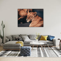 Lion Print: 16