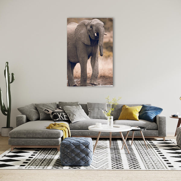 Elephant Print: 10