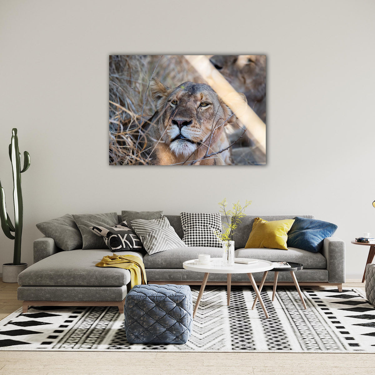 Lion Print: 20 – Canvas & More