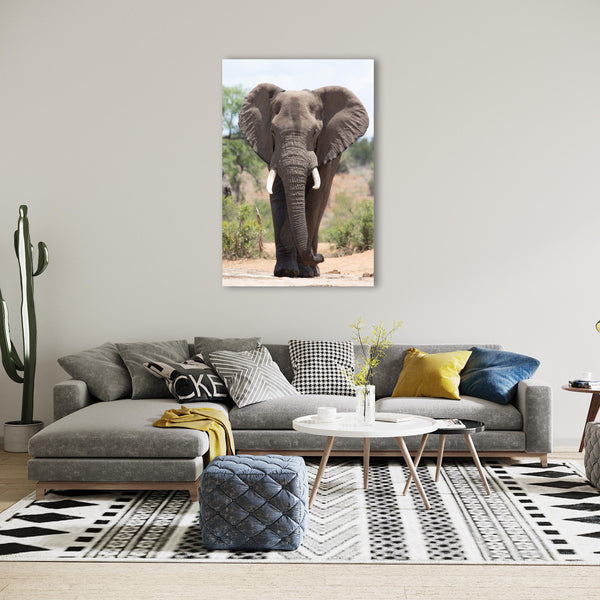 Elephant Print: 19