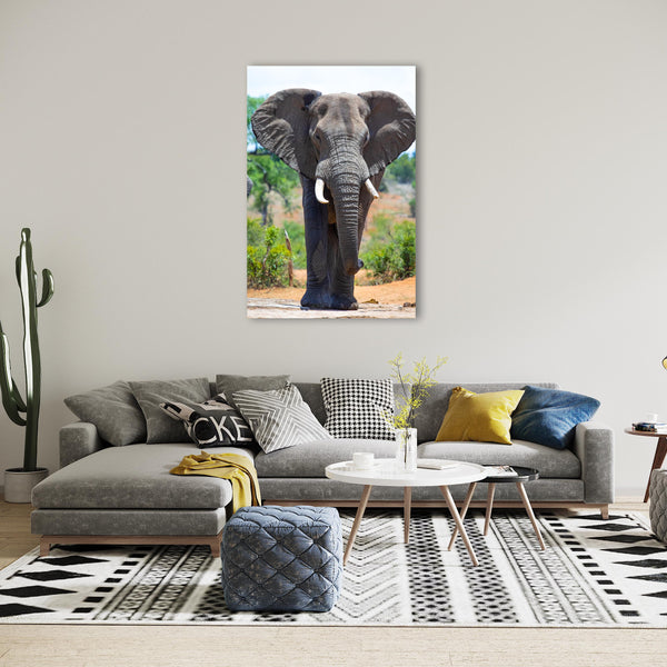 Elephant Print: 20