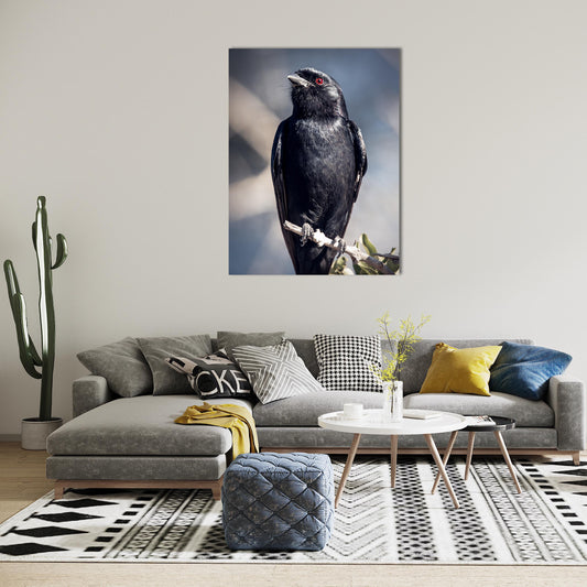Wildlife Bird Print: 1