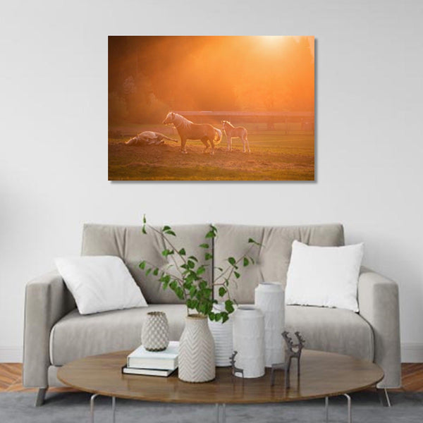 Horses in sunset light Canvas & More 