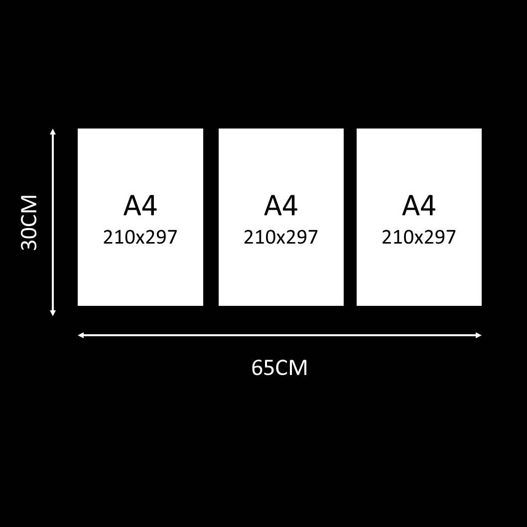 BLACK FRIDAY TEASER: 3 x A4 Canvas Print Combo Custom Canvas Canvas & More 