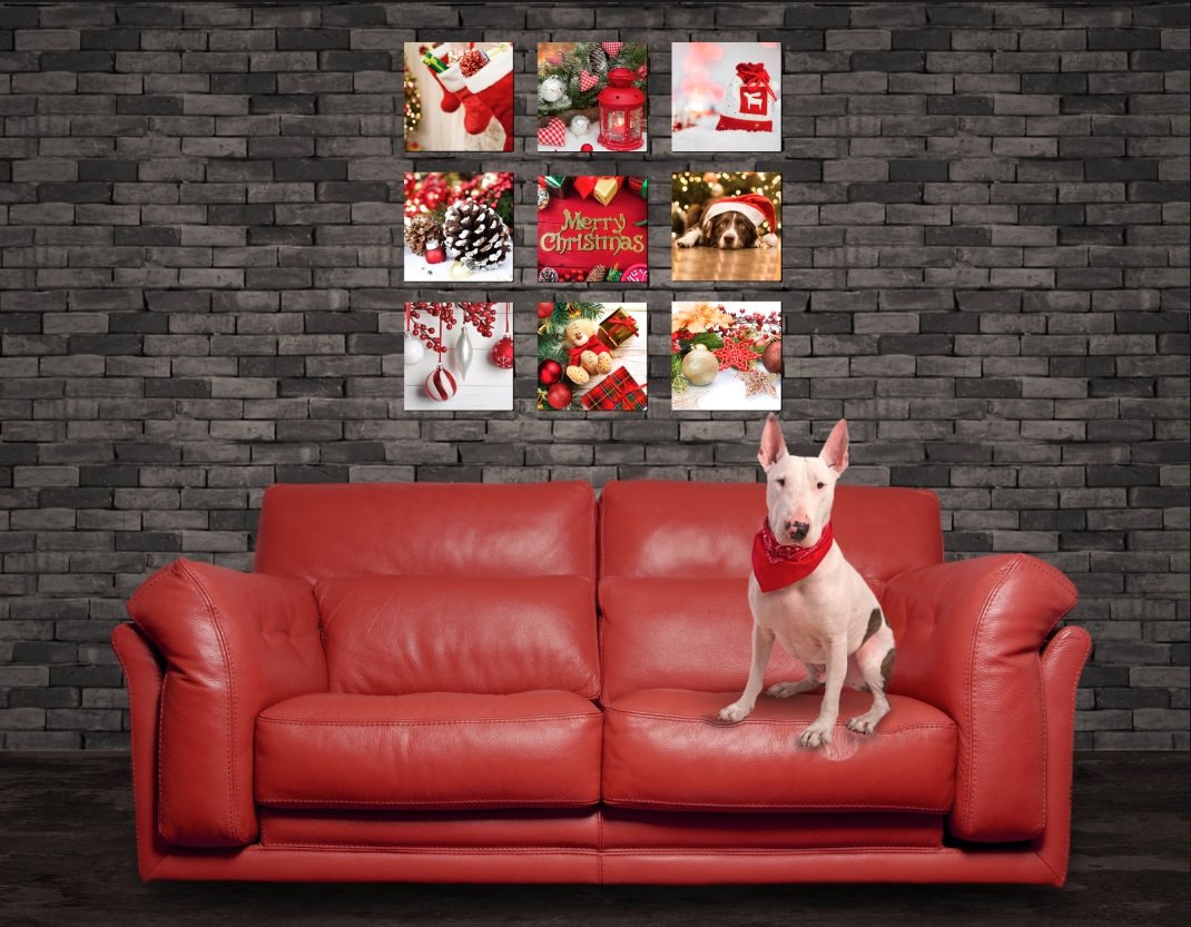 NEW: Christmas Decoration Pack (No tools required to hang!) Canvas & More 