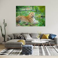 Lepard Print: 21