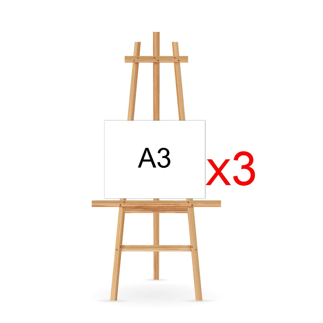 Blank Artist Canvas 3x A4/A3/A2