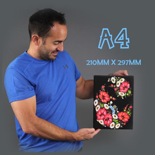 A4: Rectangle Canvas & More 