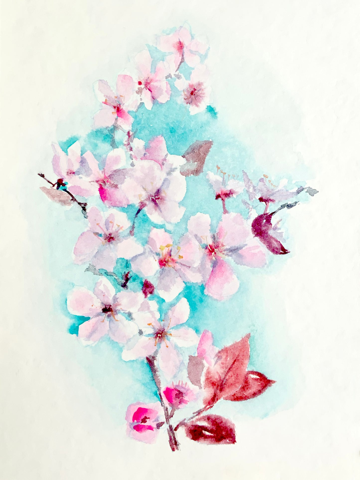 Watercolor Cherry Blossom