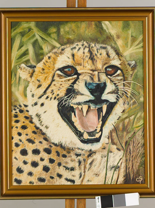 Cheetah Teeth Oil Painting Oil Painting Clive 