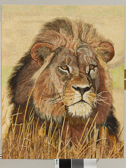 Male Lion Oil Painting Oil Painting Clive 