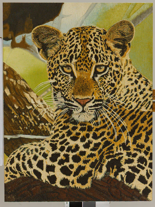 Staring Leopard Oil Painting Oil Painting Clive 
