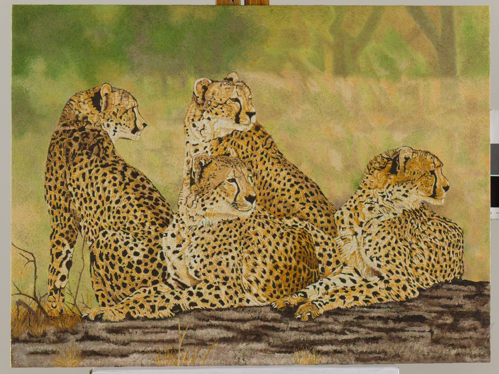 Cheetah Oil Painting Oil Painting Clive 