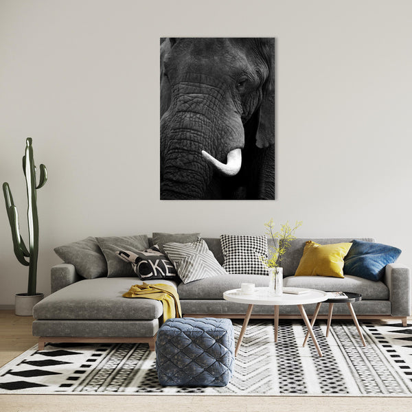 Elephant Print: 21