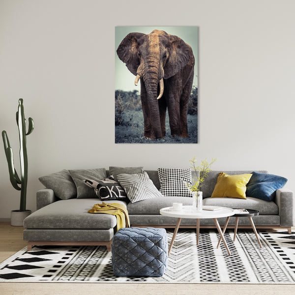 Elephant Print: 23