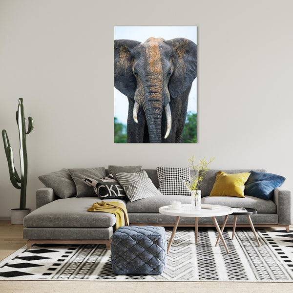 Elephant Print: 24