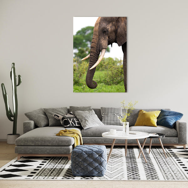 Elephant Print: 26
