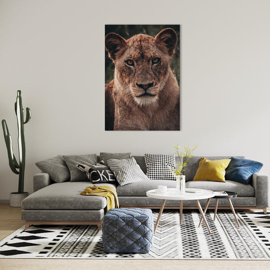 Lion Print: 22