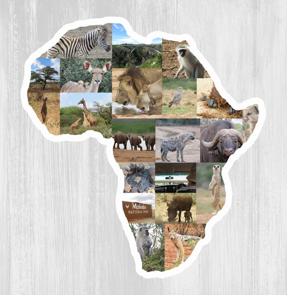 African Map Photo Fridge Magnet (Pack of 2)