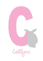 Girls: Set of 3 - Pink Rabbits Canvas & More 