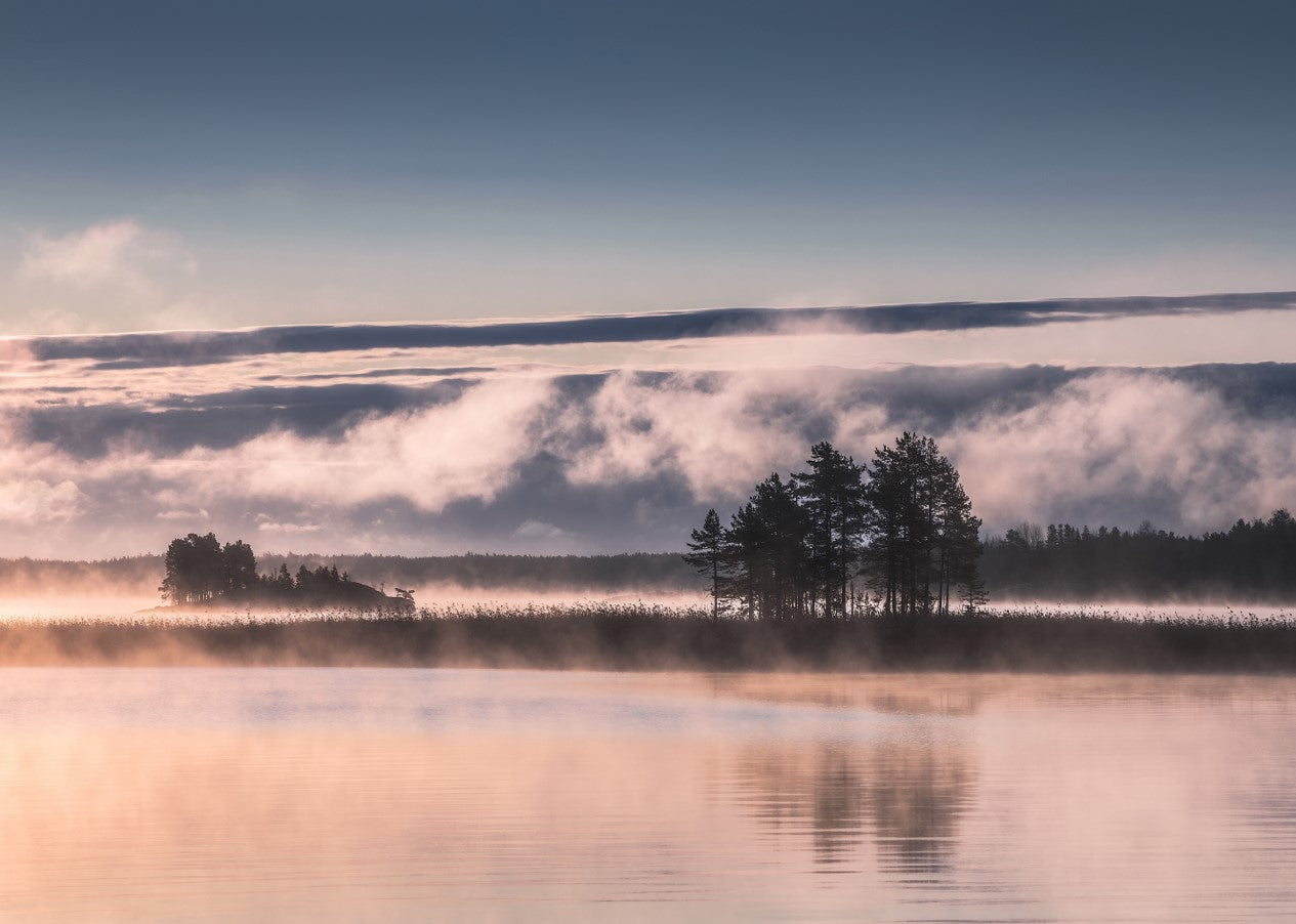 Misty Lake